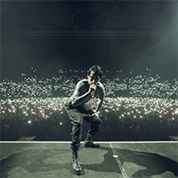 FALLING IN REVERSE